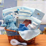 baby gift basket, new baby gift, new baby basket, baby basket, newborn baby gift