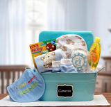 baby gift basket, new baby gift, new baby basket, baby basket, newborn baby gift