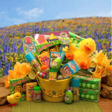 Easter basket, Easter gift basket, basket for Easter, Easter baskets, Childs Easter basket, gift basket for Easter